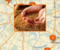 Где купить зерно в Москве?